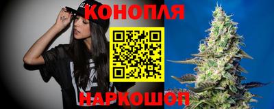 эйфоретик Ачхой-Мартан