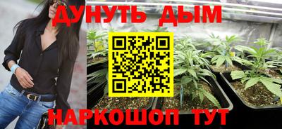крисы Ангарск