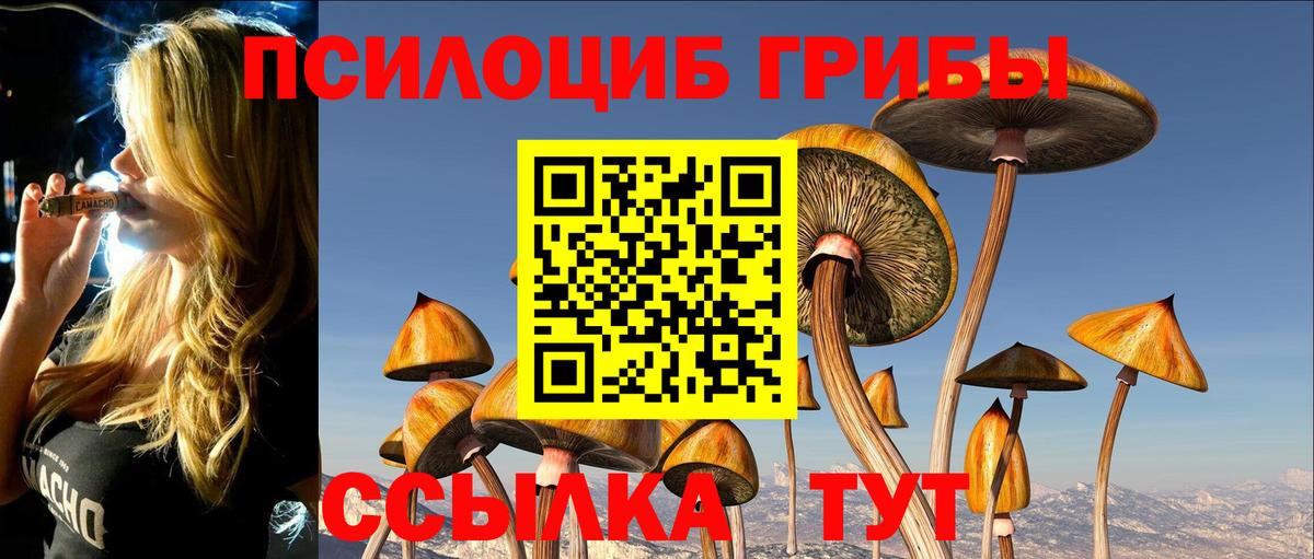 Галлюциногенные грибы Cubensis Десногорск
